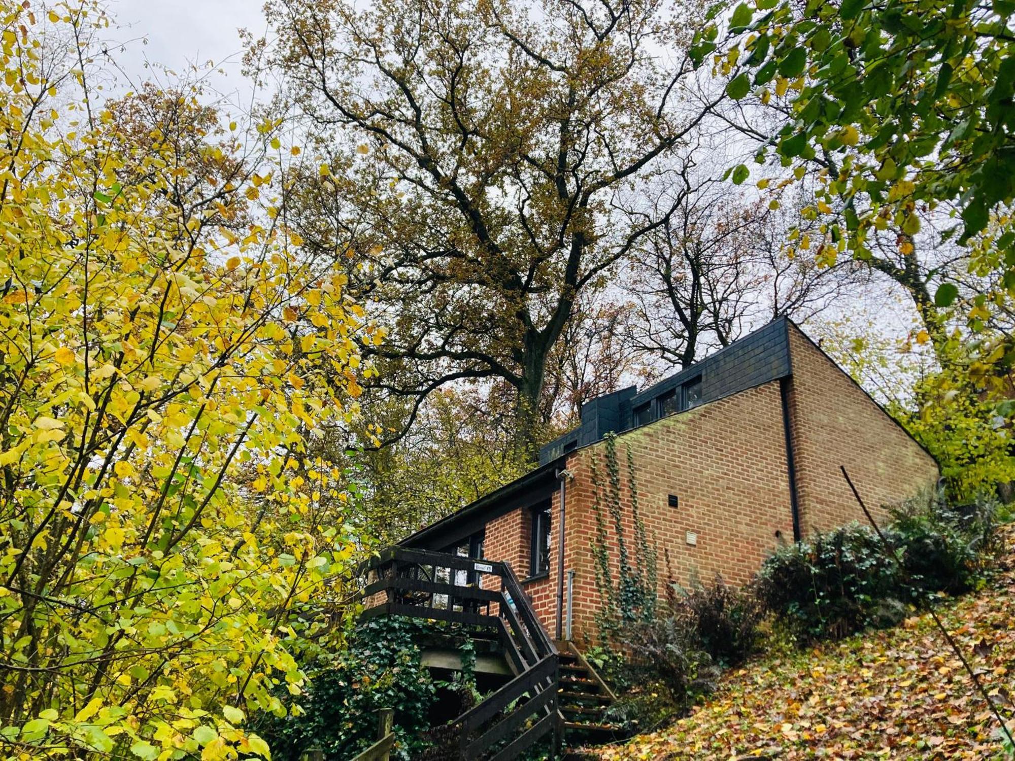 Woody Lodge - Duplex Nature Bonsoy Ardennes Hastiere-par-dela Exteriör bild